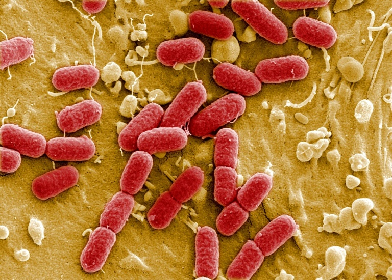 3 Canadian Scientists Win Award for Health Breakthroughs