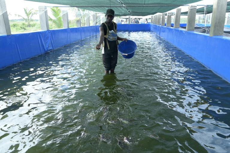 Canada's High-Tech Fish Farms Reshape Future Food Security