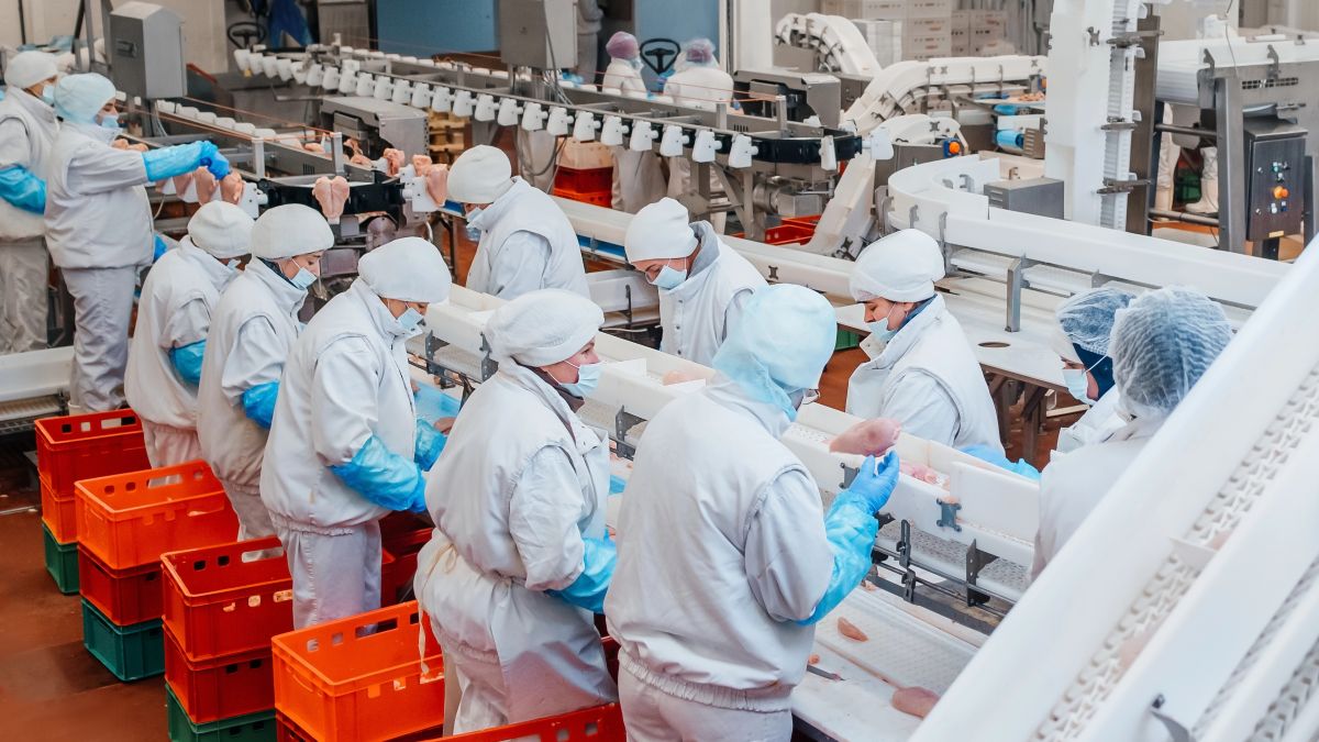 Germany's Meat Worker Reform Shows Path for Netherlands