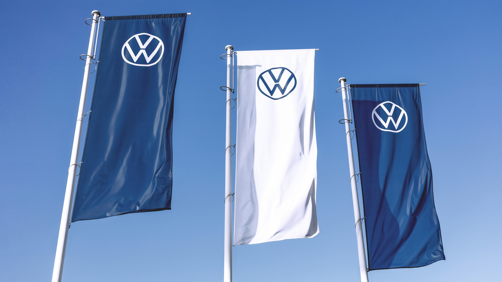 100 Sheep Now Work at Volkswagen's Poland Solar Farm