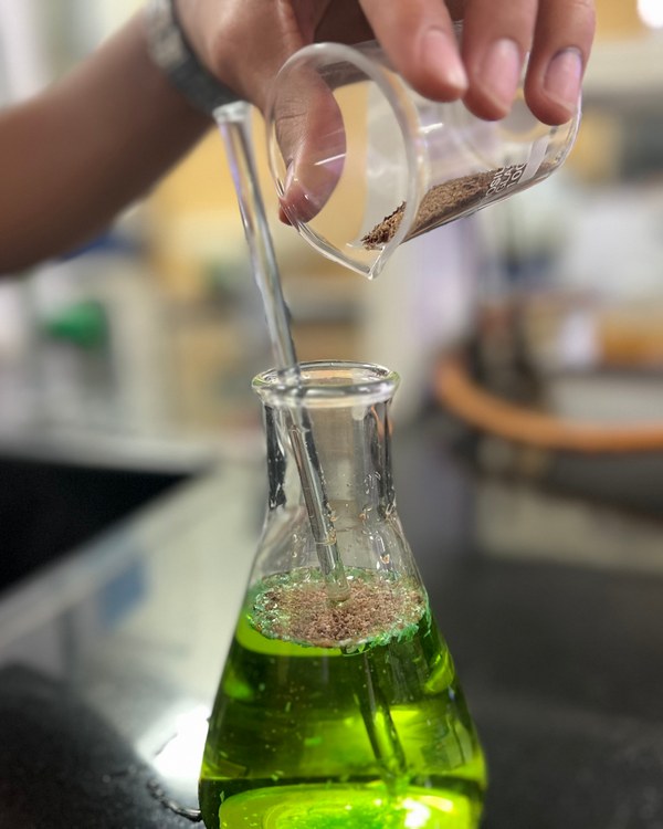3 Indian Teens Remove Microplastics Using Tamarind Powder - Image 2