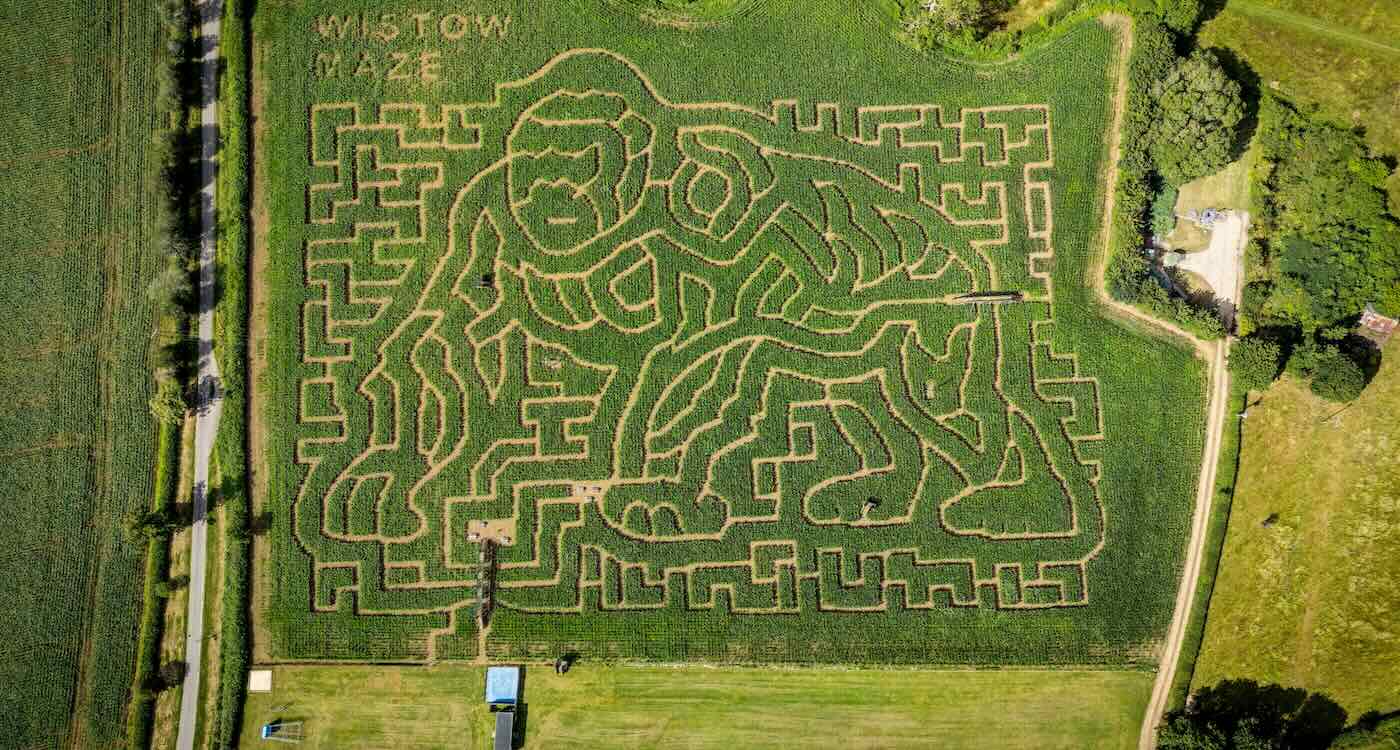Giant Gorilla Maze Honors David Attenborough's 100th Birthday