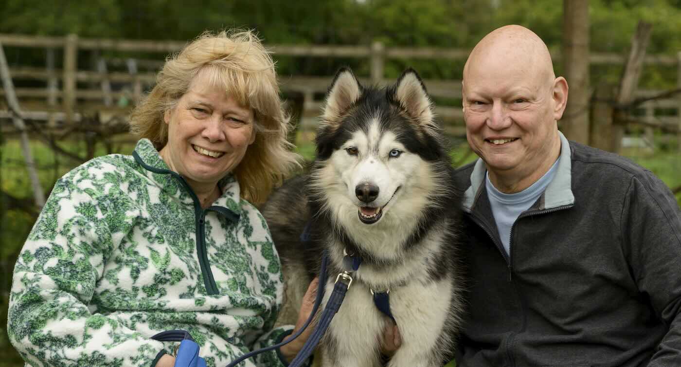 British Couple Fosters 59 Dogs Over 15 Years