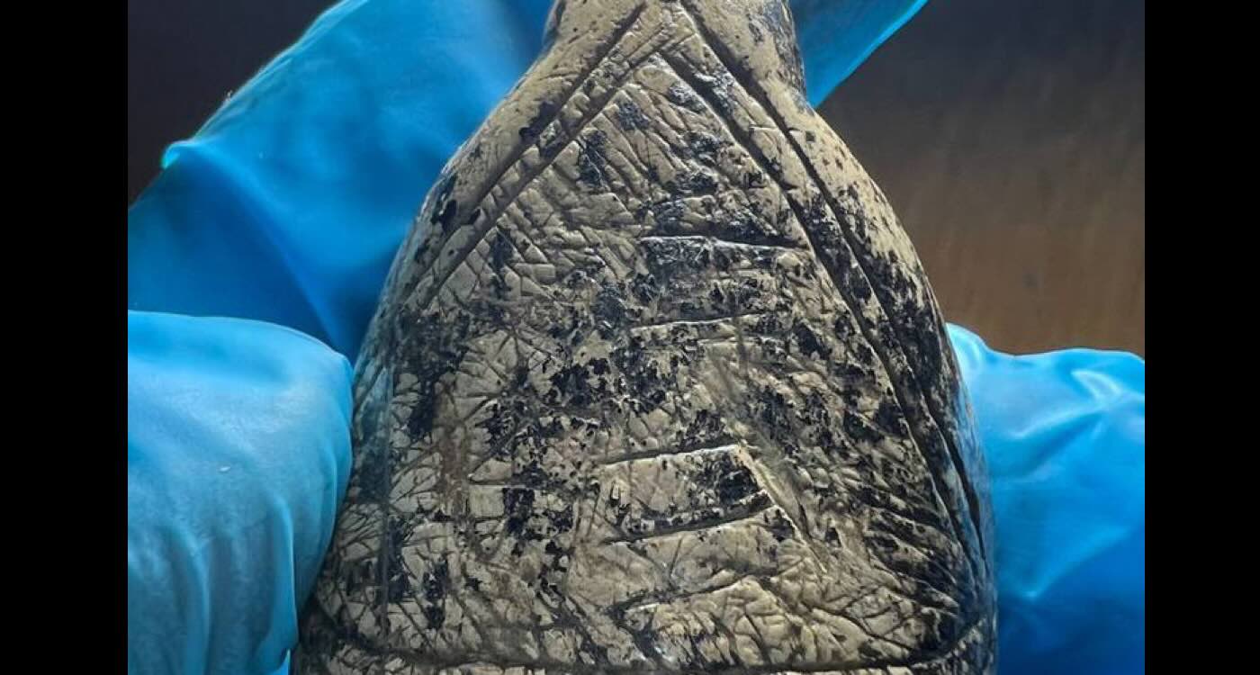 Ice Age Artists Copied Mammoth Tusks to Create Ancient Art