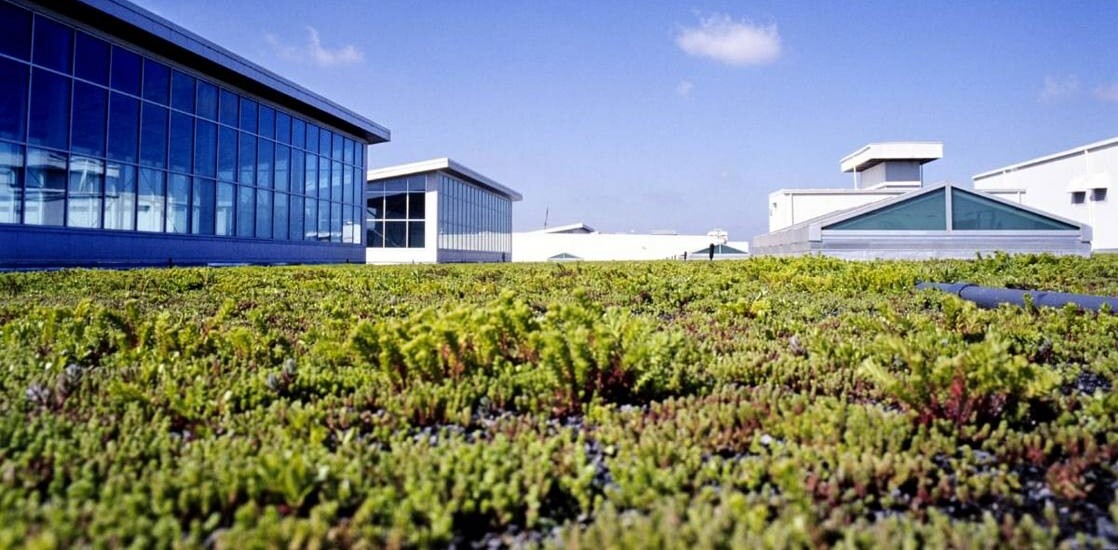 Ford's 454,000 Sq Ft Living Roof Saves Energy and Birds