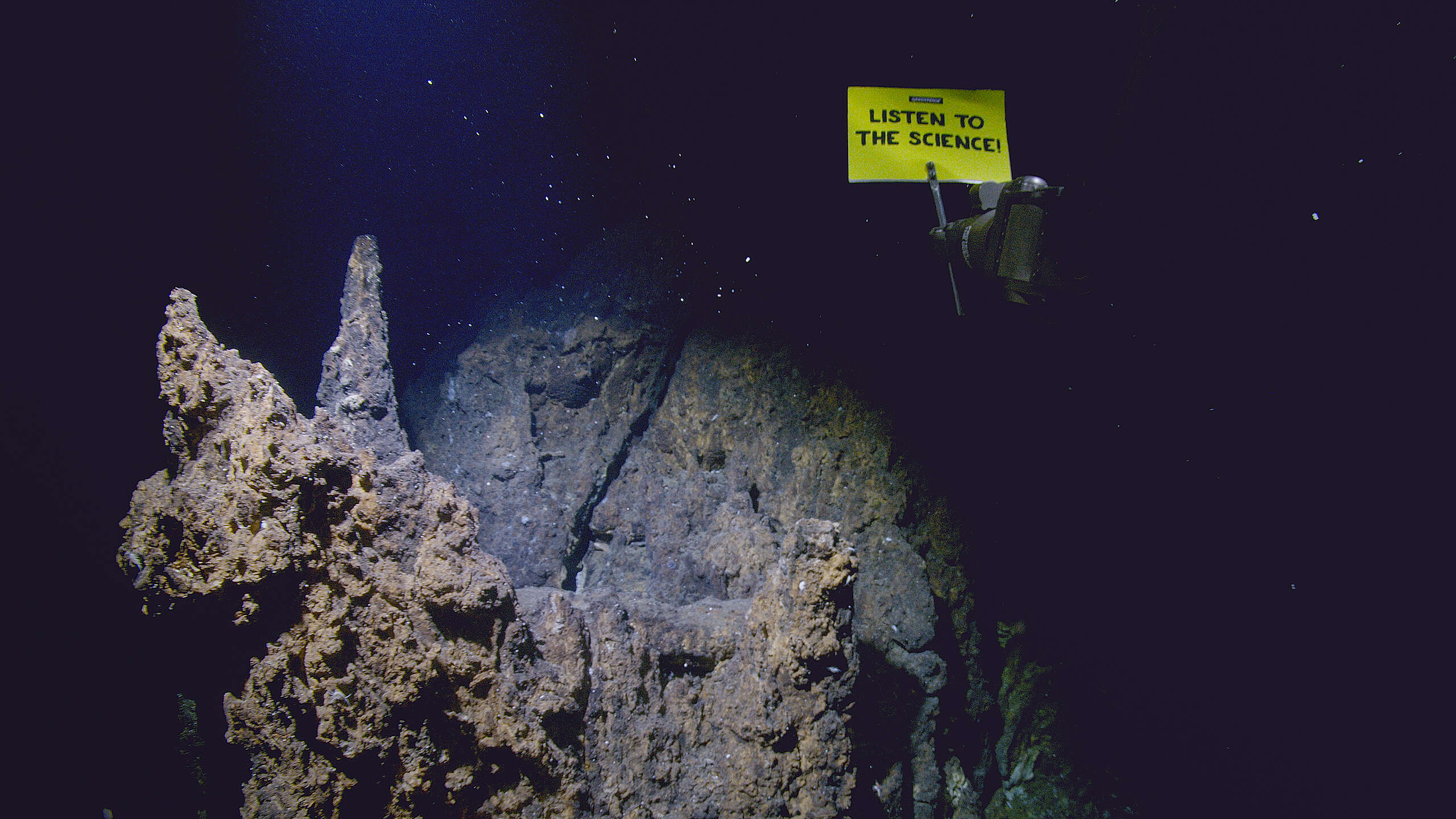 Scientists Livestream Deep-Sea Wonders From 2,300 Meters Down