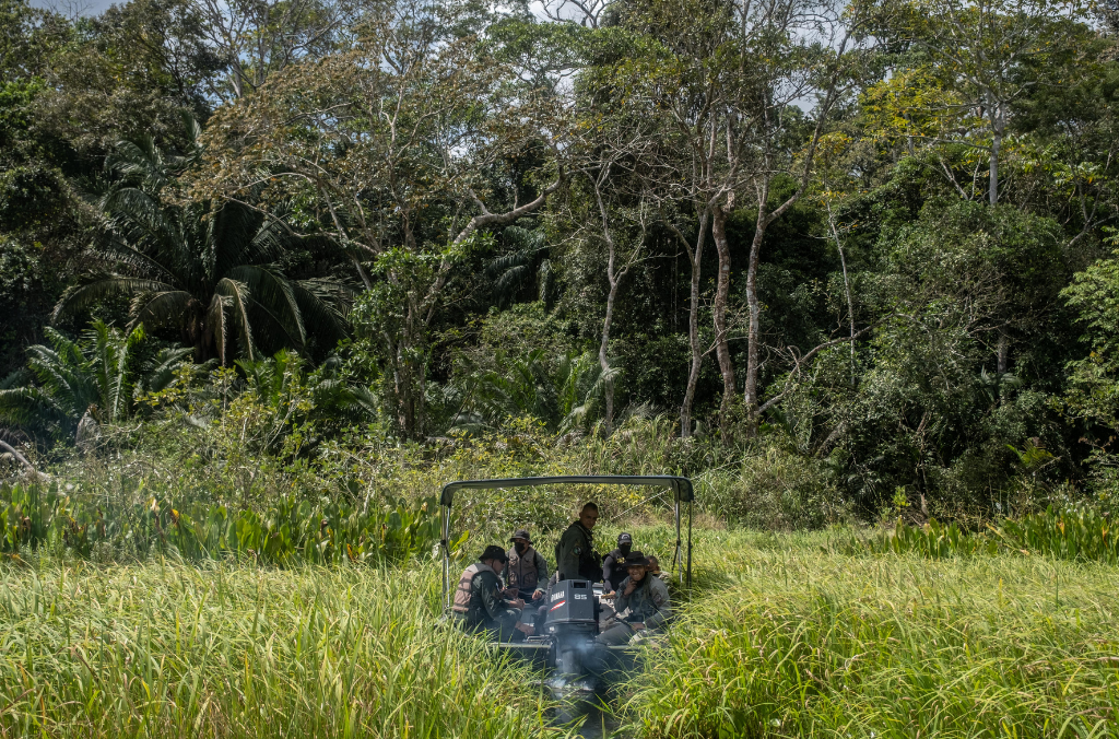 Germany and INTERPOL Stop 500 Environmental Crimes in Year One