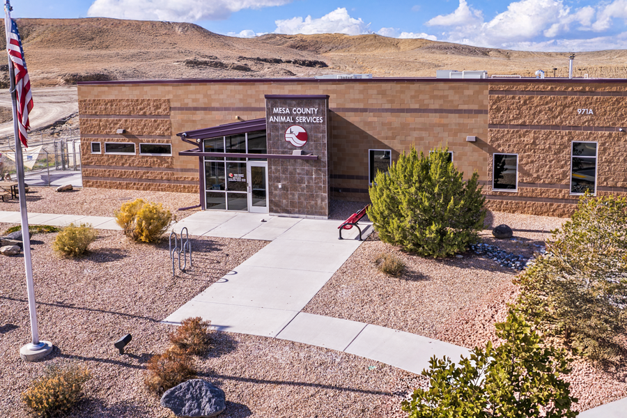 Mesa County Shelter Seeks Volunteers for Animal Care