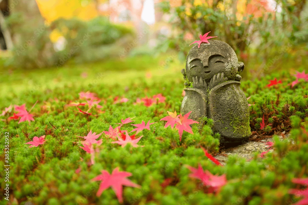 Garden Meditation: A 5-Minute Practice for Stress Relief