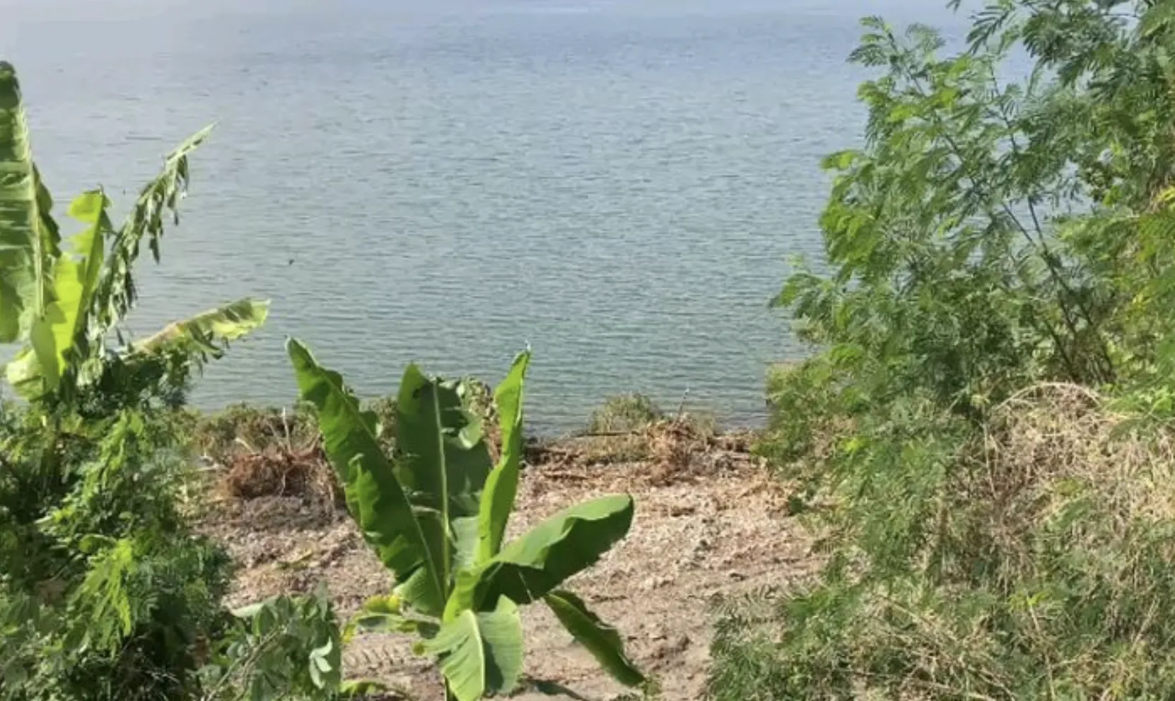 Ghana Halts Illegal Clearing at West Africa's Only Natural Lake