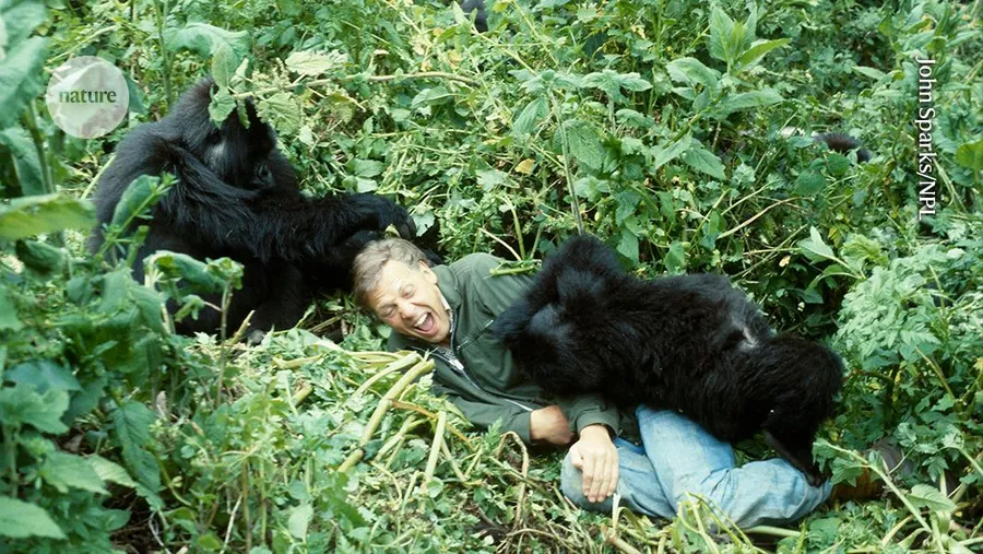 David Attenborough Turns 100, Inspiring Millions to Love Nature