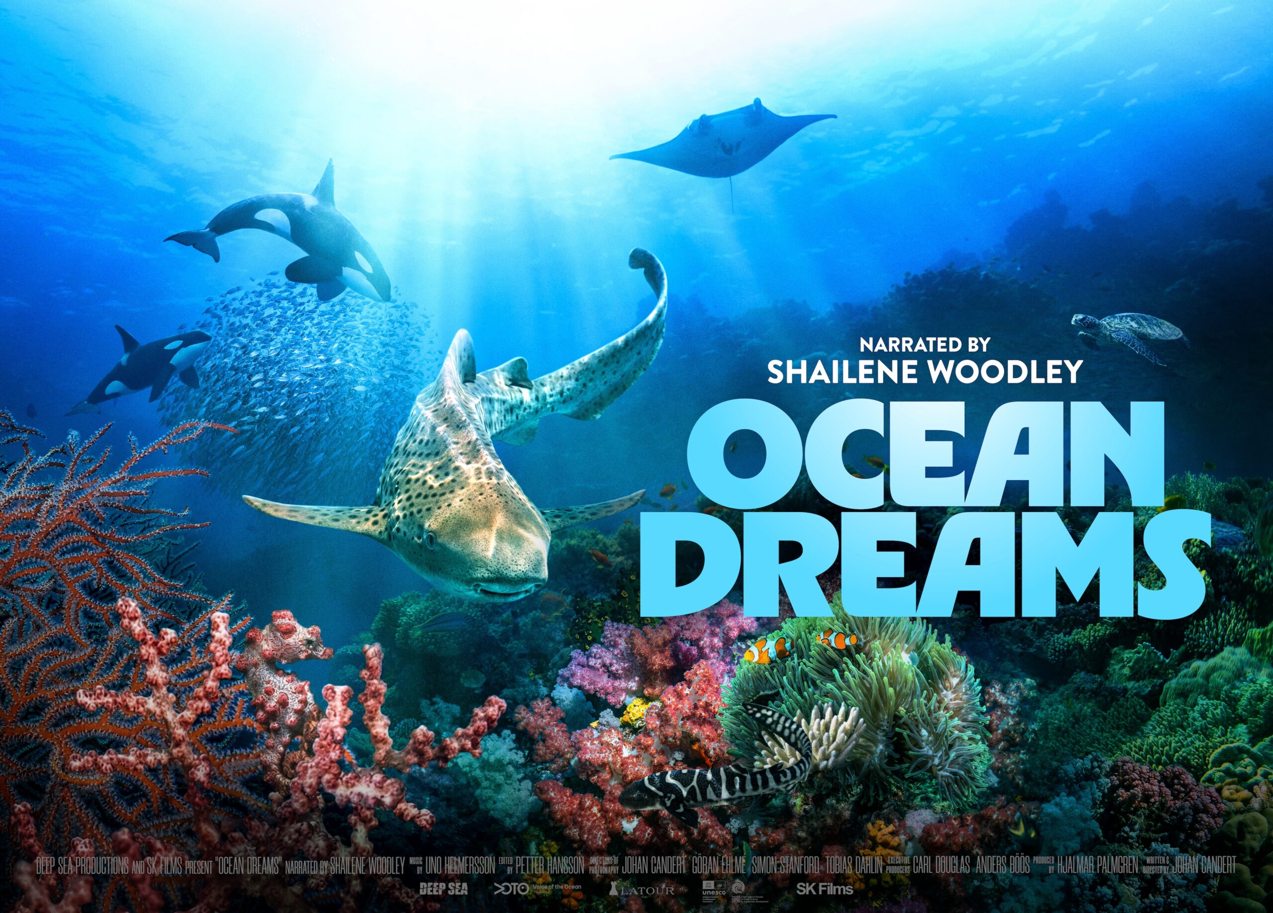 Ocean Dreams Documentary Shows Nature's Comeback Story