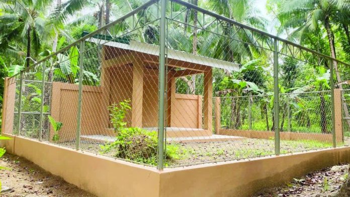 Philippine Province Opens Wildlife Rescue Center - Image 2