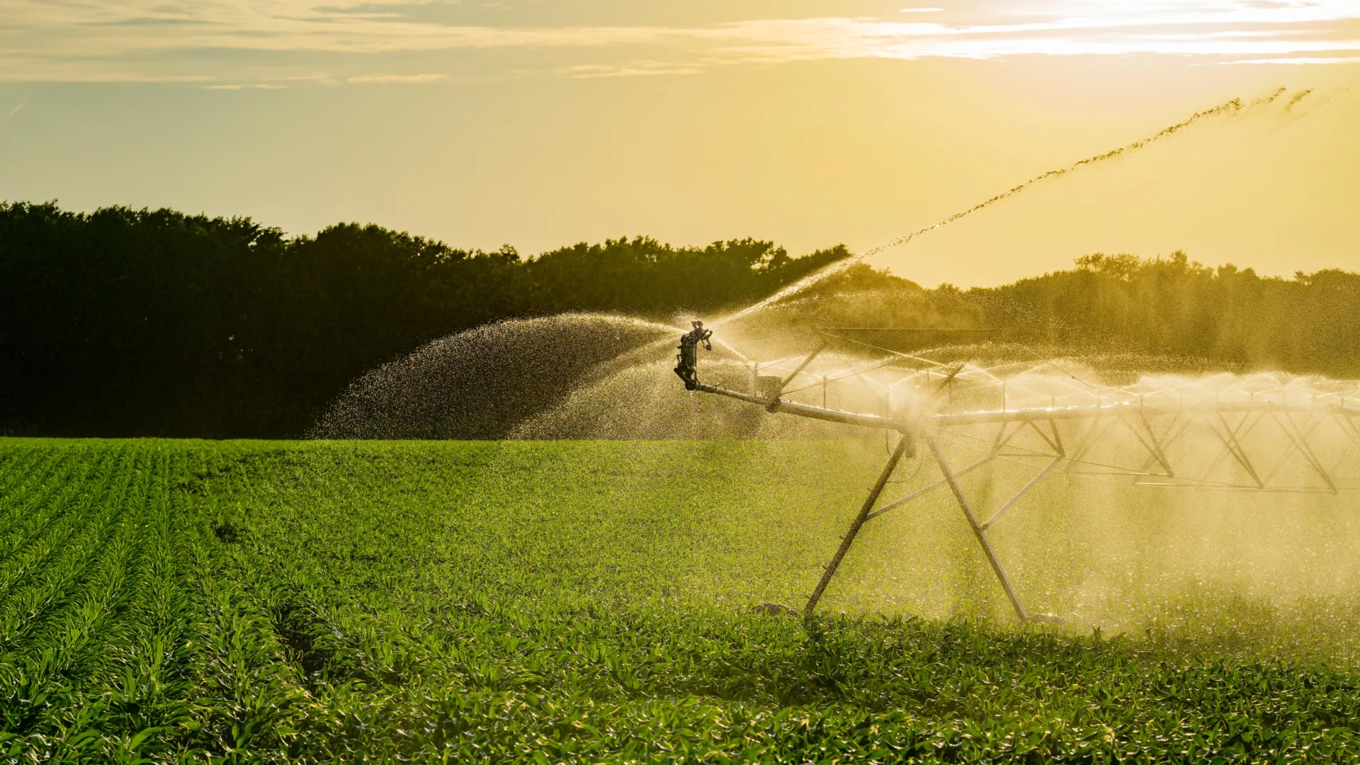 US Irrigation Prevents 363 Times More Emissions Than It Makes