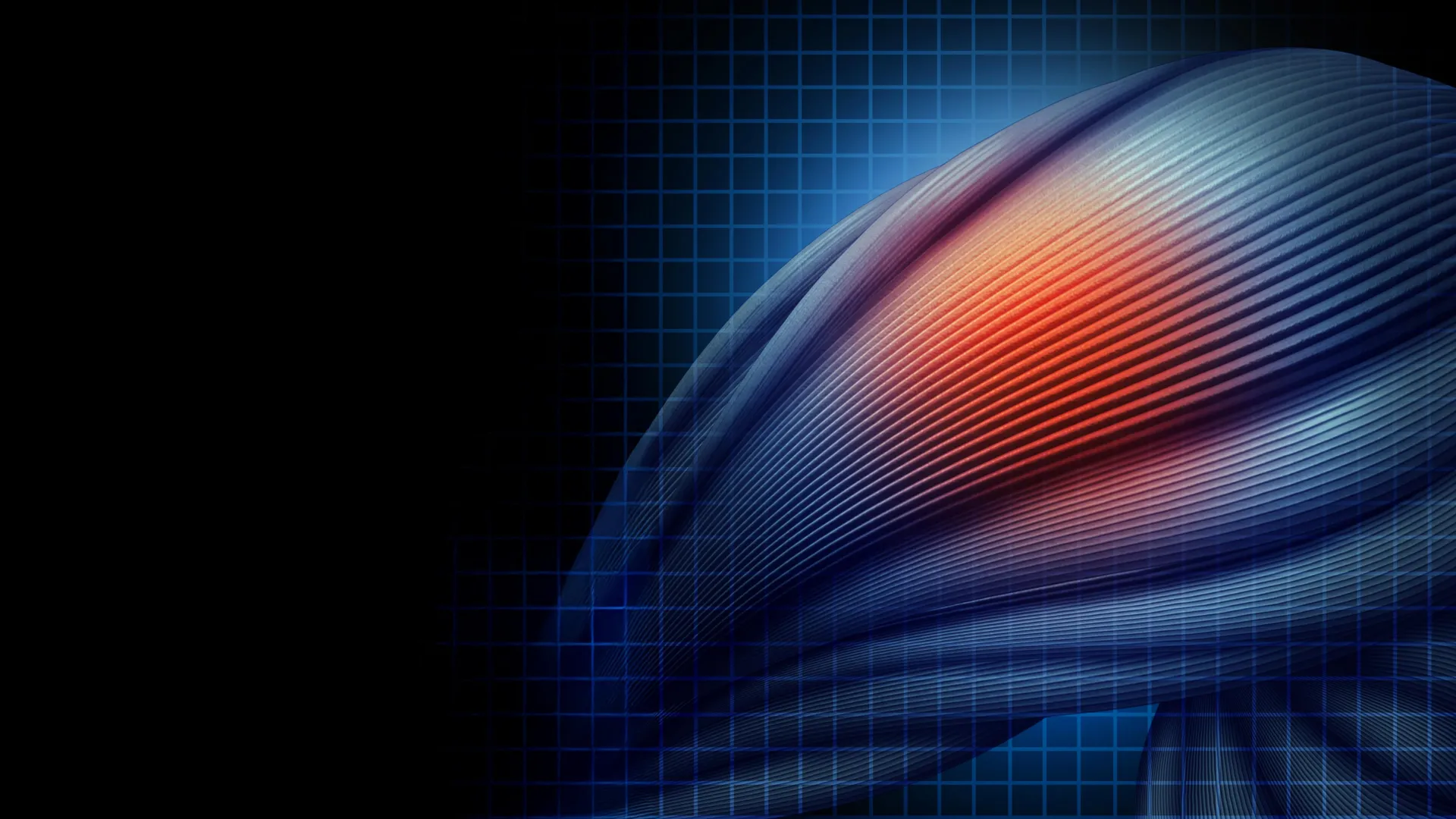 Protein Discovery Could Unlock Muscular Dystrophy Treatment