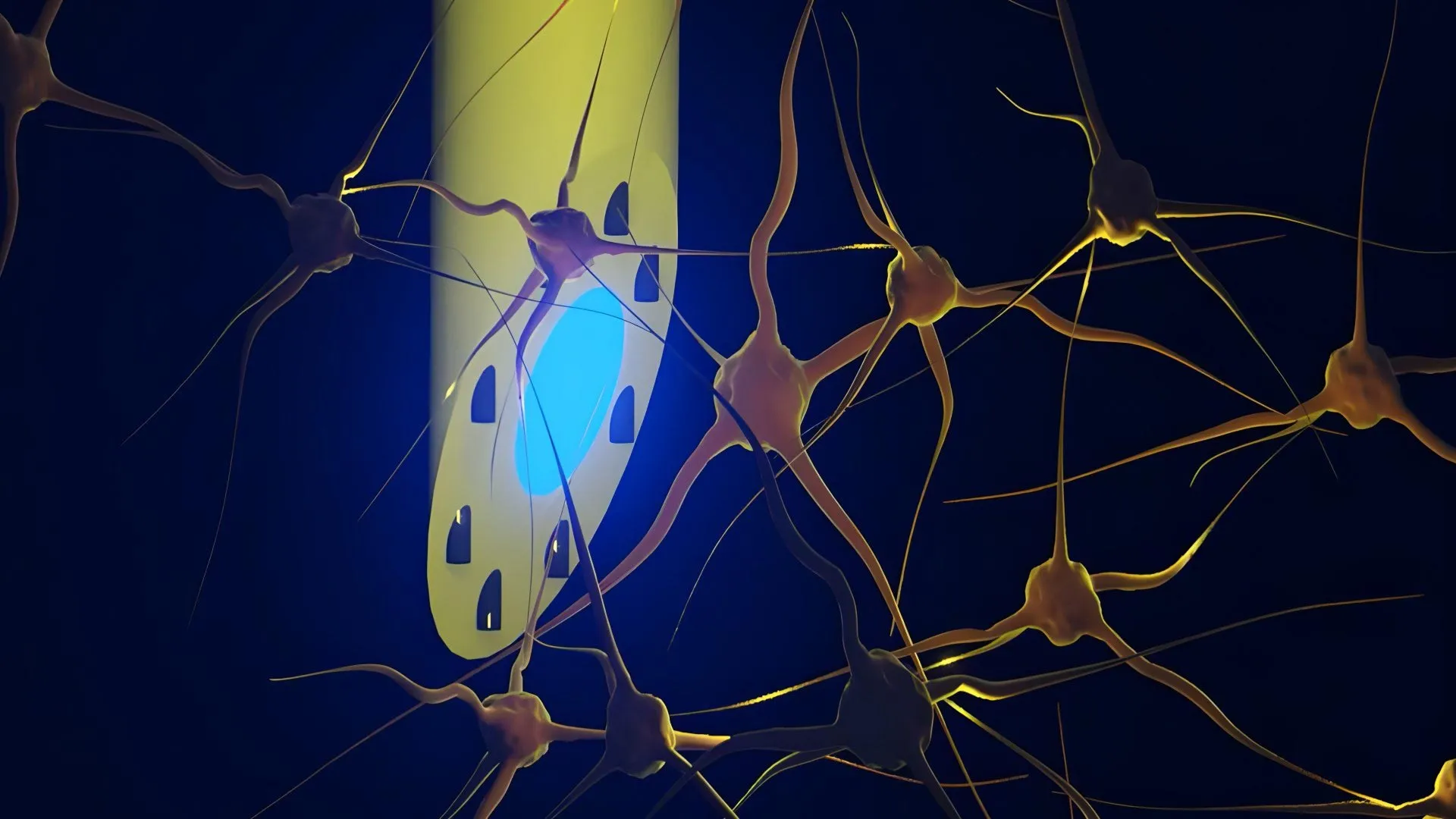 Needle-Thin Brain Implant Does 3 Jobs at Once in Mice