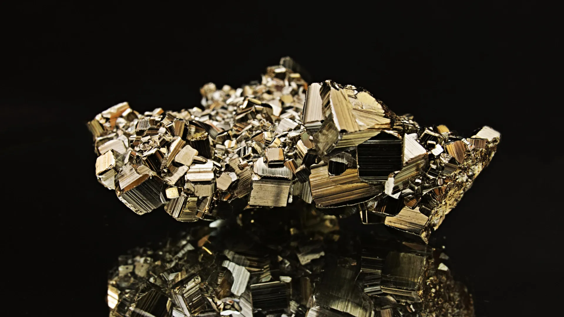 Close-up of golden pyrite crystals embedded in dark gray ancient shale rock formation