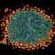AI Team Designs Better Tools to Catch Memory Loss Early - Image 5