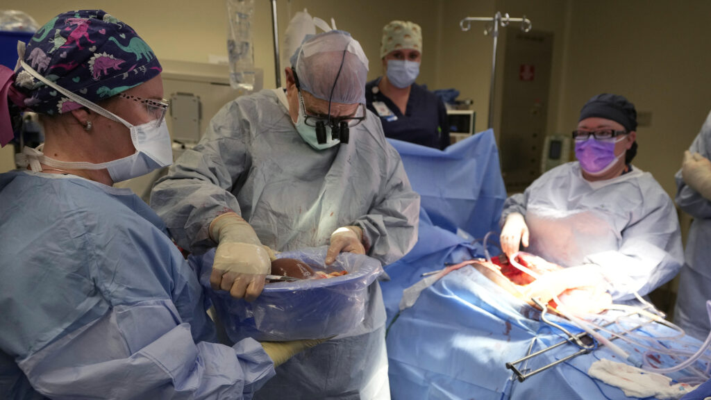 New Cell Therapy Helps Liver Patients Avoid Rejection