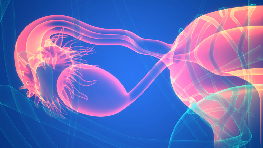 Women's Health Condition Gets Name That Finally Fits