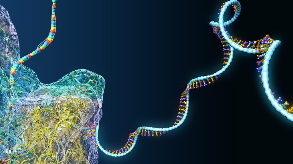 ARPA-H Funds Custom RNA Therapy Development