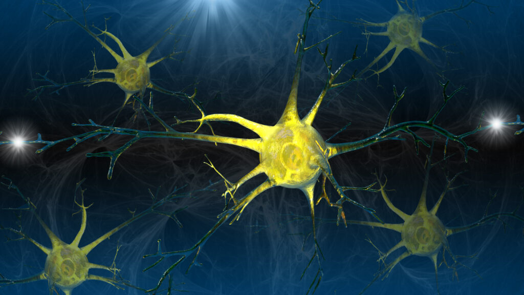 New Treatment Restores Vision for Blind Patient