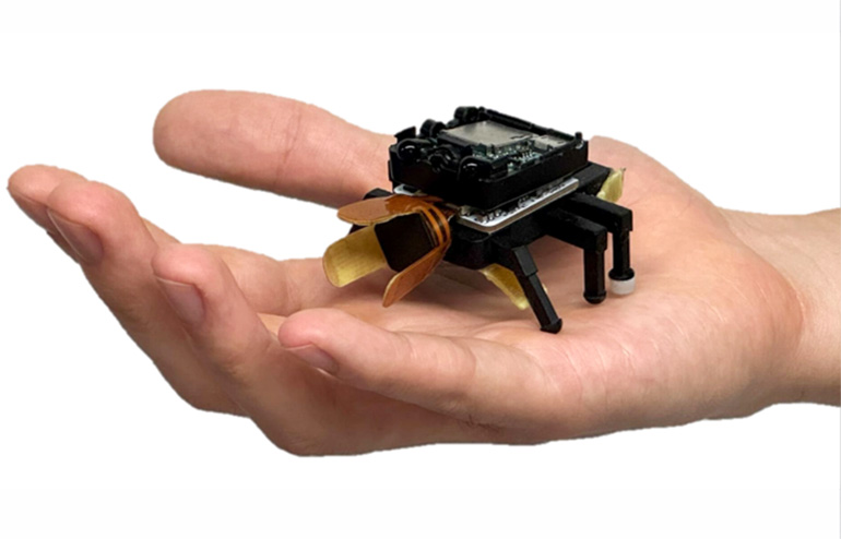 How 5 Robotic Animals Are Saving Human Lives