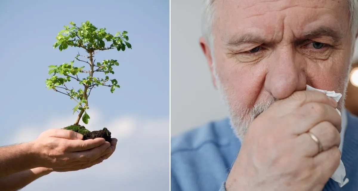 Teacher's $5K Gift Grows Into 50,000-Tree Forest in China